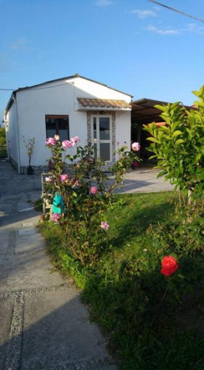 Hotels in Borgia